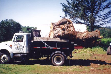 General Excavation